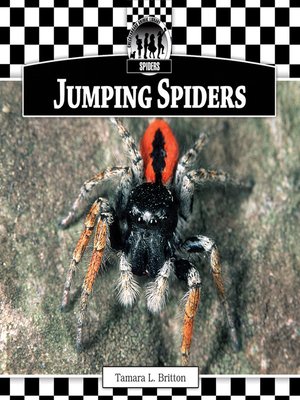 cover image of Jumping Spiders
